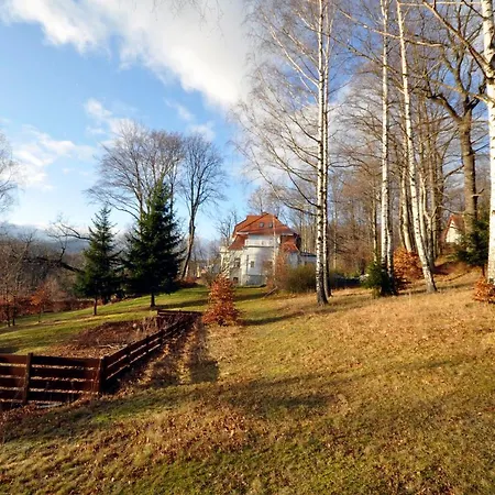 Reszyniec Apartment *